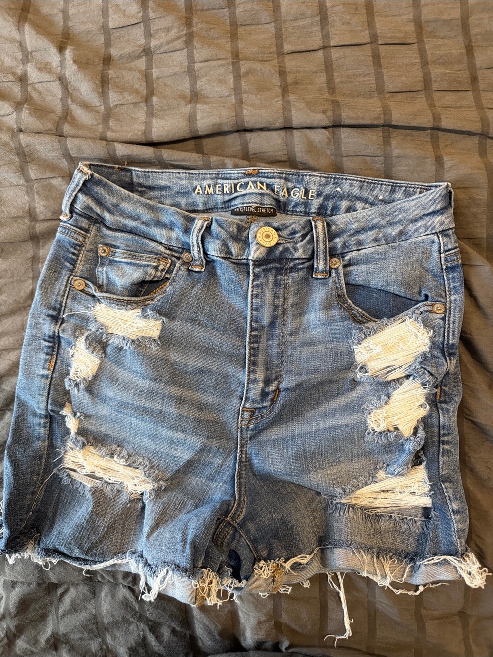American Eagle Outfitters Ripped Light Blue Denim Jean Shorts